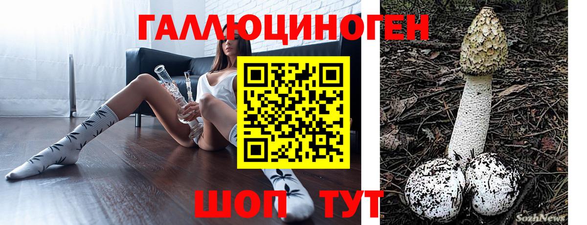 Галлюциногенные грибы ЛСД Кинешма