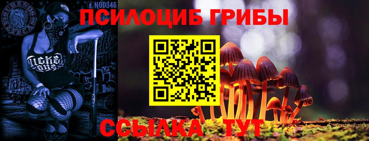 Кинешма  ЭКСТАЗИ  APVP СК   Вход с VPN  Меф   МЕТАМФЕТАМИН  НБОМе  Кокаин  МАРИХУАНА  Гашиш  Метадон 